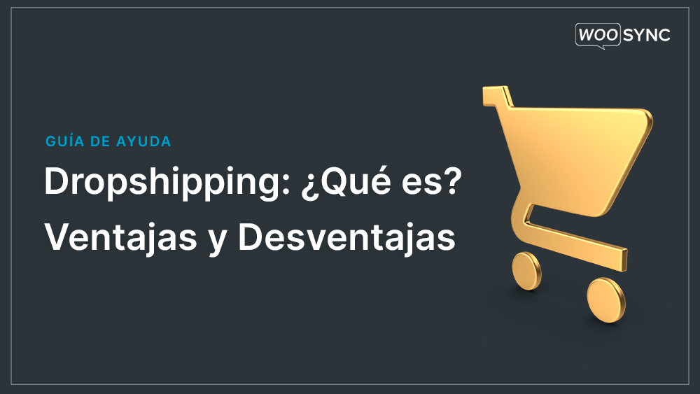 que es dropshipping